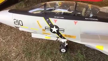 RC F-14 Tomcat Large scale Turbine powered