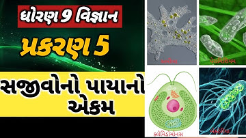 L-1 | Std 9 Science Ch 5 | સજીવોનો પાયાનો એકમ | સજીવો શાના બનેલા છે? | Dhoran 9 Ch 5 | વિજ્ઞાન 