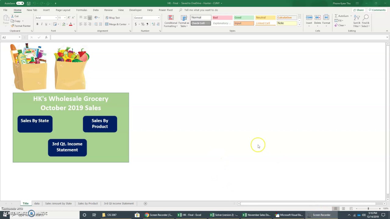 CIS 3367 Final Project - Solver, Income Statement & Visual Basic, Prof ...