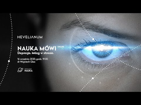 Depresja. Mózg w