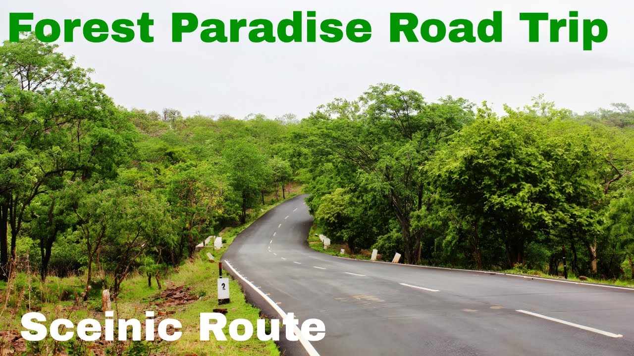 Srisailam to Mahanandi Scenic Drive - Beautiful Forest Road Trip