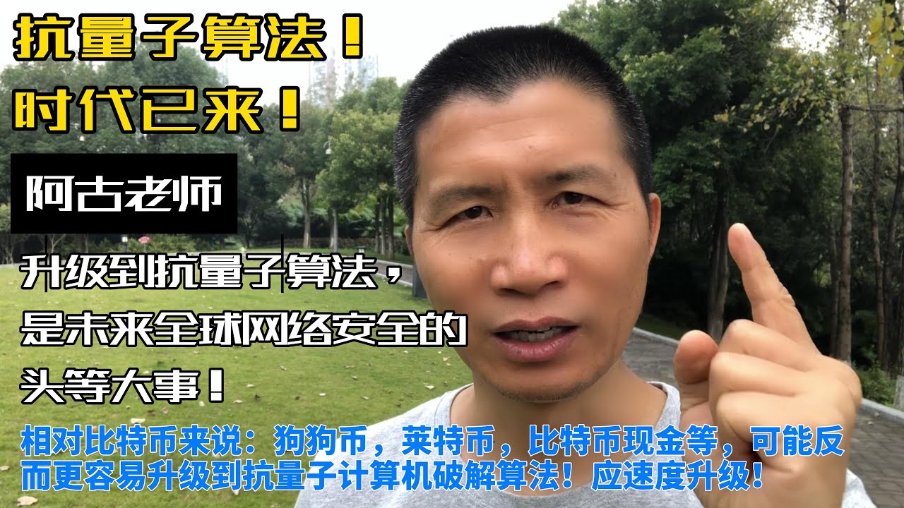 相对比特币来说：狗狗币，莱特币，比特币现金BitcoinCash等等，反而更容易升级到抗量子计算机破解算法！升级到抗量子是未来全球网络安全的头等大事，阿古老师！热矿！Raqcoin，Algorand！