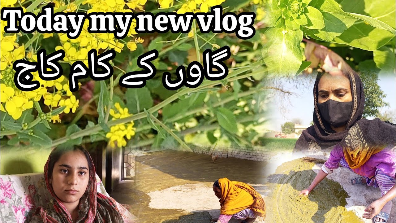 Today my new vlog🥰 || gaon ka kaam kaj ki routine # lubnasabir #villagelife # khayt #baji