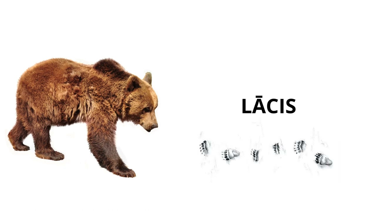 Dzīvnieki Latvijā.