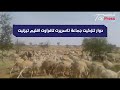 تيزنيت مواشي الر حل تكتسح جماعة تاسريرت وتأتي على ثمار الأركان واللوز