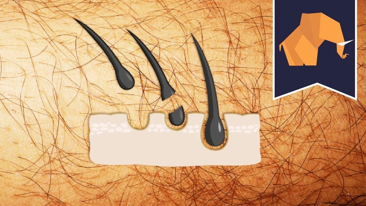Debunking the Myth: Shaving Does Not Make The Hair Grow Thicker and Faster  | Science Times