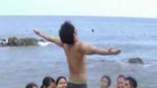 UPLB SChemES  Summer 08- 09 teaser