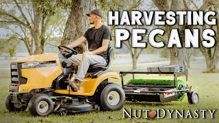Ways to Harvest Pecans- Nut Dynasty Lays Out Pecan Harvesters