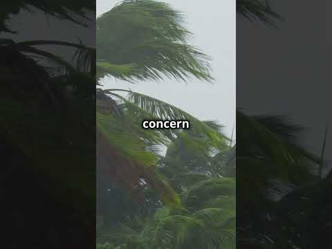 Hurricane Helene Update: