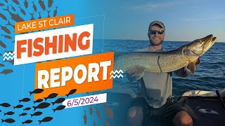 The Lake St. Clair Fishing Report 6/5/2024