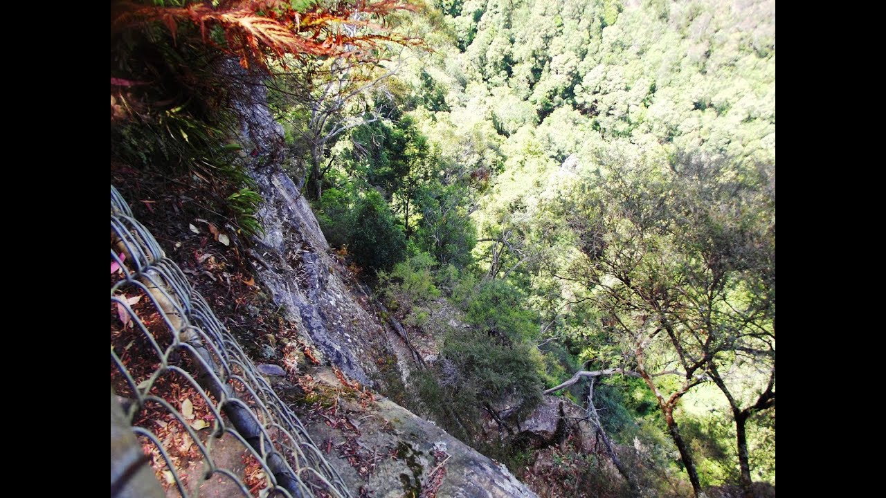 Easier than Giant Steps, but there are still a few steep steps to climb  coming up the Furber Steps – Katoomba, Blue Mountains