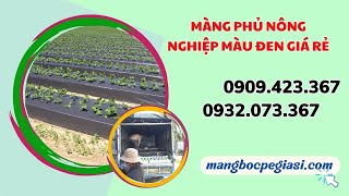 Mua sỉ màng phủ nông nghiệp màu đen giá rẻ nhất Miền Nam ở đâu? | Màng phủ nông nghiệp giá sỉ
