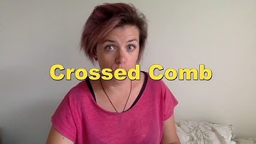 HOW TO: correct  crossed comb into your hive ? AUSTRALIA