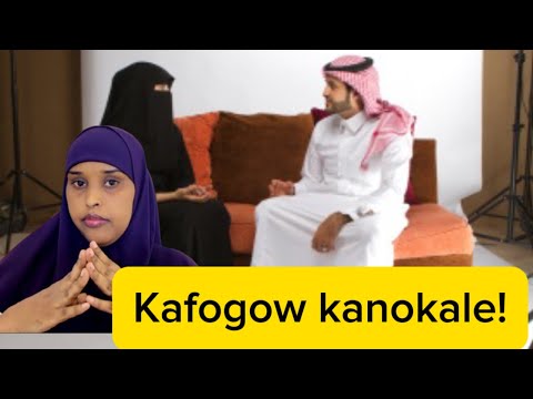 CAJIIB JACALKII KUBILODAY ARAGTIDA EE KUDHAMADAY DHIMASHADA Sawdamqaalib