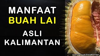 Manfaat buah lai kalimantan