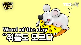 Don't know anything 🧐 "쥐뿔도 모르다" | Word of the day