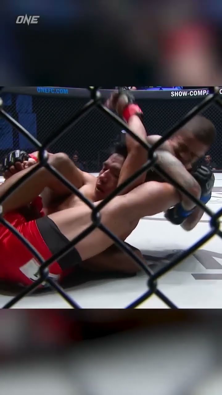 SULOEV STRETCH ?