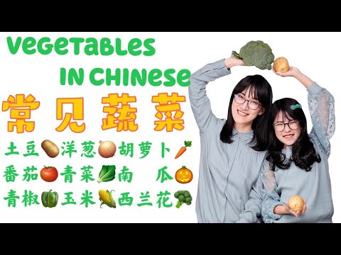 11 Vegetables in Chinese|有趣的蔬菜 儿童中文课|Mandarin learning for Children|Chinese lesson for kids 幼儿学习中文