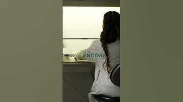 DNA extraction for Cannabis testing at Encore Labs