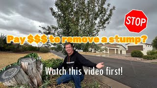 Regrow a 'Dead' Tree! Have a Stump with New Growth? Watch This Video Before Removing It by Touch Grass Gardening 555 views 4 months ago 8 minutes, 52 seconds