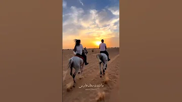 إيلين سليمان حنا العشق Music Shorts Reels AlardiaMusic 