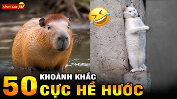 🔥 50 Khoảnh Khắc Ngàn Năm Có Một Của Động Vật Khiến Ai Nấy Phì Cười Nghiêng Ngả I Kính Lúp TV