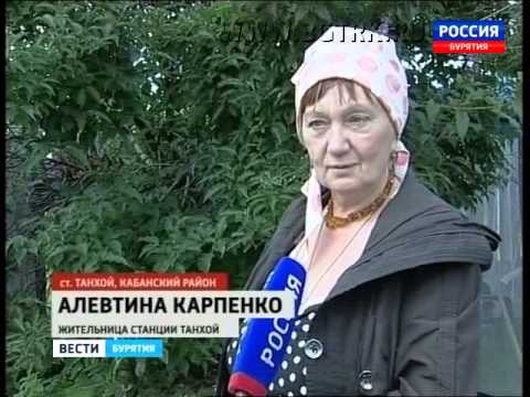 В  Бурятии в сентябре неожиданно   зацвела  сирень