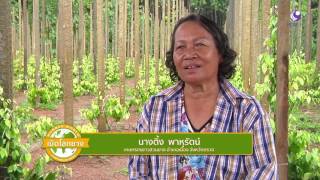 รายการคนไทยหัวใจเกษตร  29 กรกฎาคม 2559 B2
