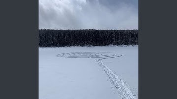 Synth and String Drone D#