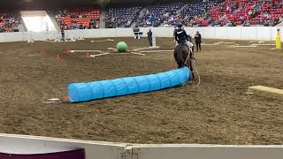 Julia and Kitten Equine Affaire Ohio Versatile Horse & Rider Competition 2022