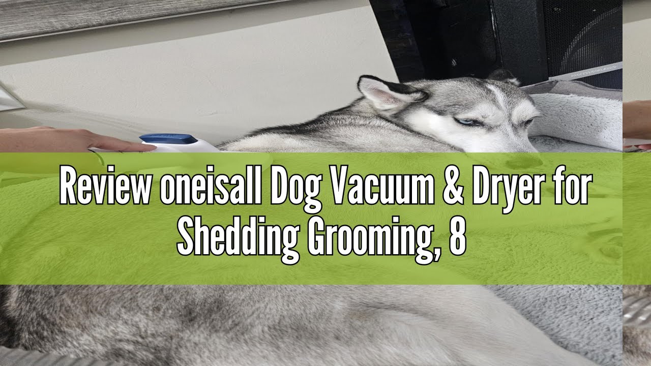 Review oneisall Dog Vacuum & Dryer for Shedding Grooming, 8 in 1 Dog