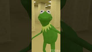 Kermit Has 2 Sides