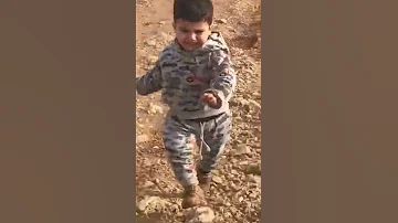 كلب يلحق ولد صغير 