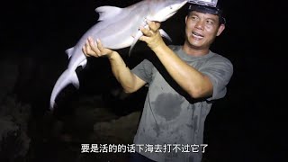 Download Lagu 老四来海边睡了一觉，醒来后竟捡到大鲨鱼和龙虾，踩狗屎运了 MP3