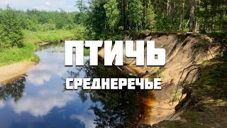 Птичь от истока до устья (ч. 8)