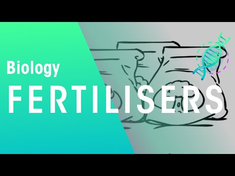 Video: Fertilizers In Pegs 