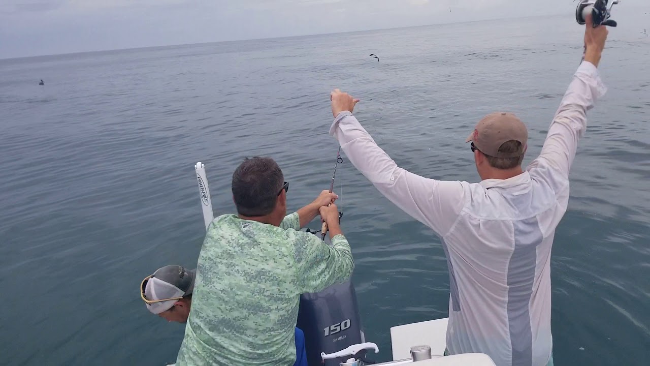 Port Mansfield, TX Jetties fishing, Whale Shark YouTube