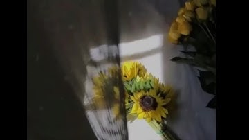 قران كريم بصوت عمير شميم ♥🔊 أجمل حالات واتس اب دينية مقاطع دينية قصيرة مقاطع انستقرام دينية