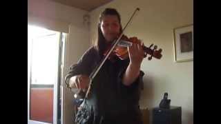 Violona distrumado.