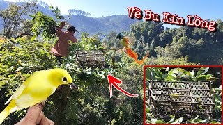 Download Lagu Bẫy Chim Bằng Bẫy 8 Cửa Cổ Xưa Sẽ NTN | Dân Tộc Tây Bắc Tv MP3