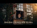 Dalda Çıkmış Bir Elma Balkan Brass Band Cover