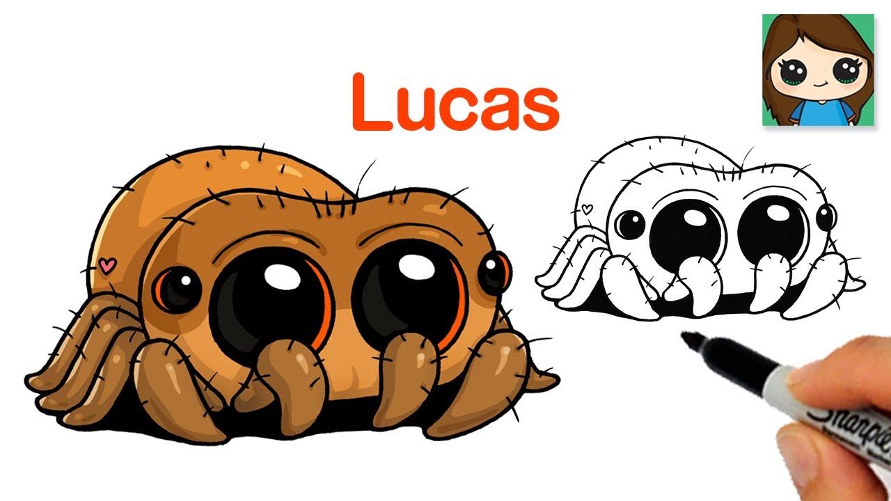 How to Draw a Jumping Spider ????Lucas - YouTube