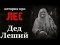 Истории на ночь: Дед Леший