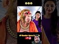 Bandar bhai ka Gussa mein Lafra ho gaya - Tuntun Funny 🤣😂Monkey Video #shorts #aimausi ayi #Aivlog