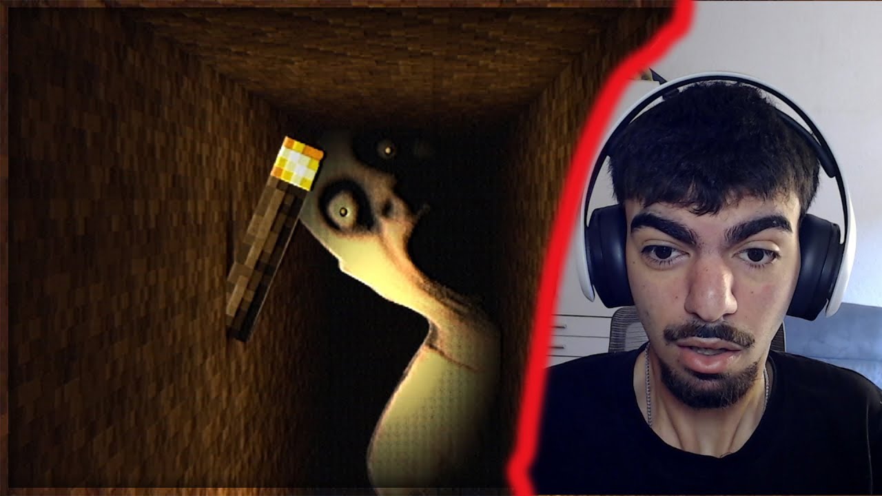 DIESER MINECRAFT MOD HAT MEINE ADRESSE GELEAKED...