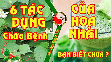 6 Tác Dụng chữa bệnh của hoa nhài Không phải ai cũng biết
