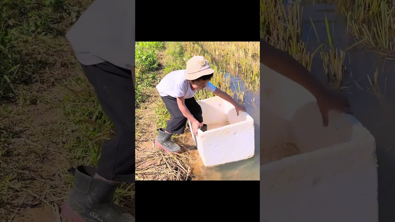 Changcady cùng em Tube giả cứu đồ chơi