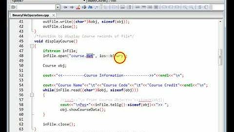 Binary File Read and Write Operation in C++