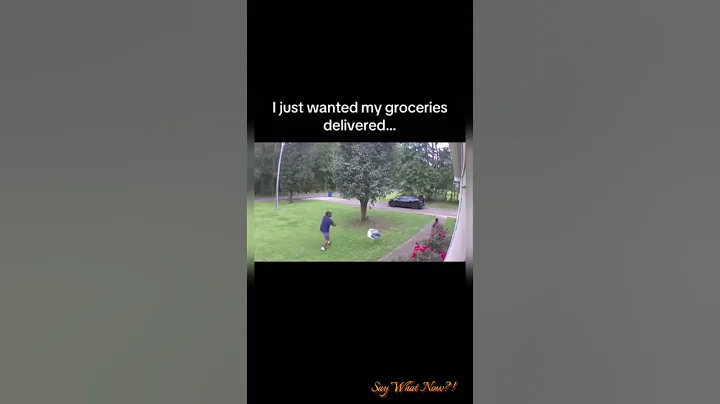 I just wanted my groceries delivered...😩🤦🏾🤣