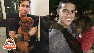 Footballers And Their Pets | Cristiano Ronaldo, Özil, Neymar, Harry Kane, Alexis Sanchez